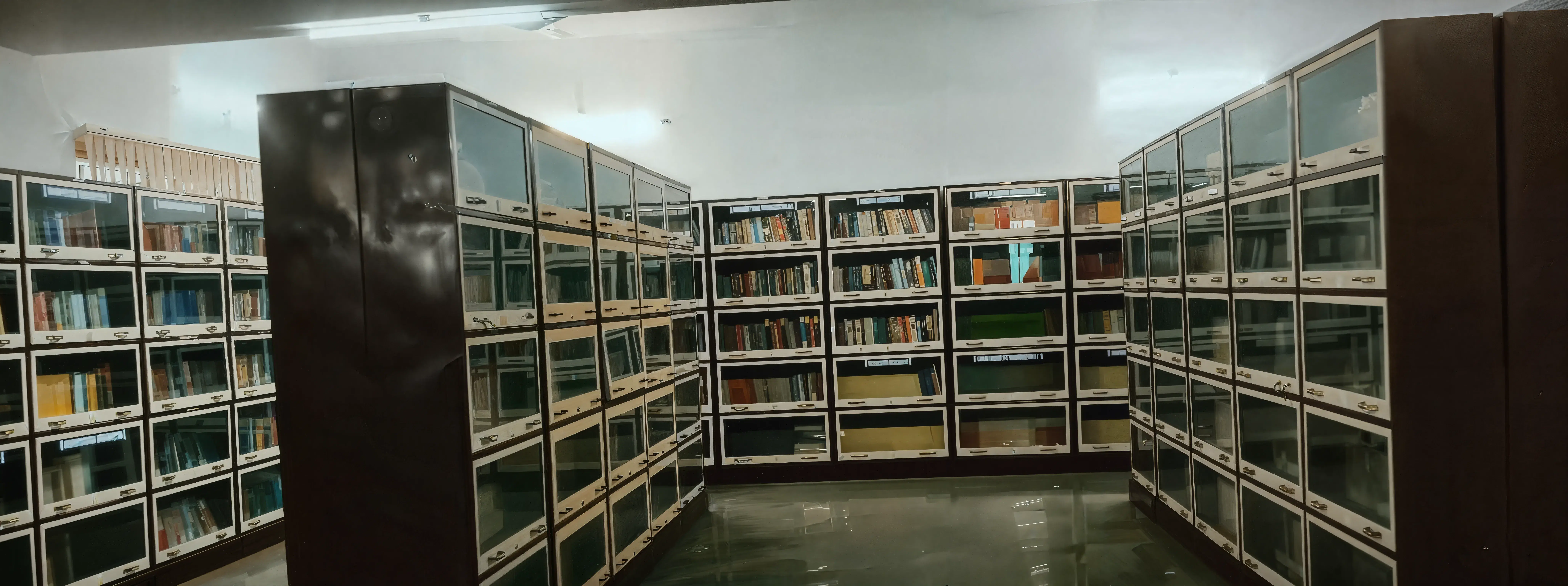 Dr Ambedkar College Nagpur library photo 1