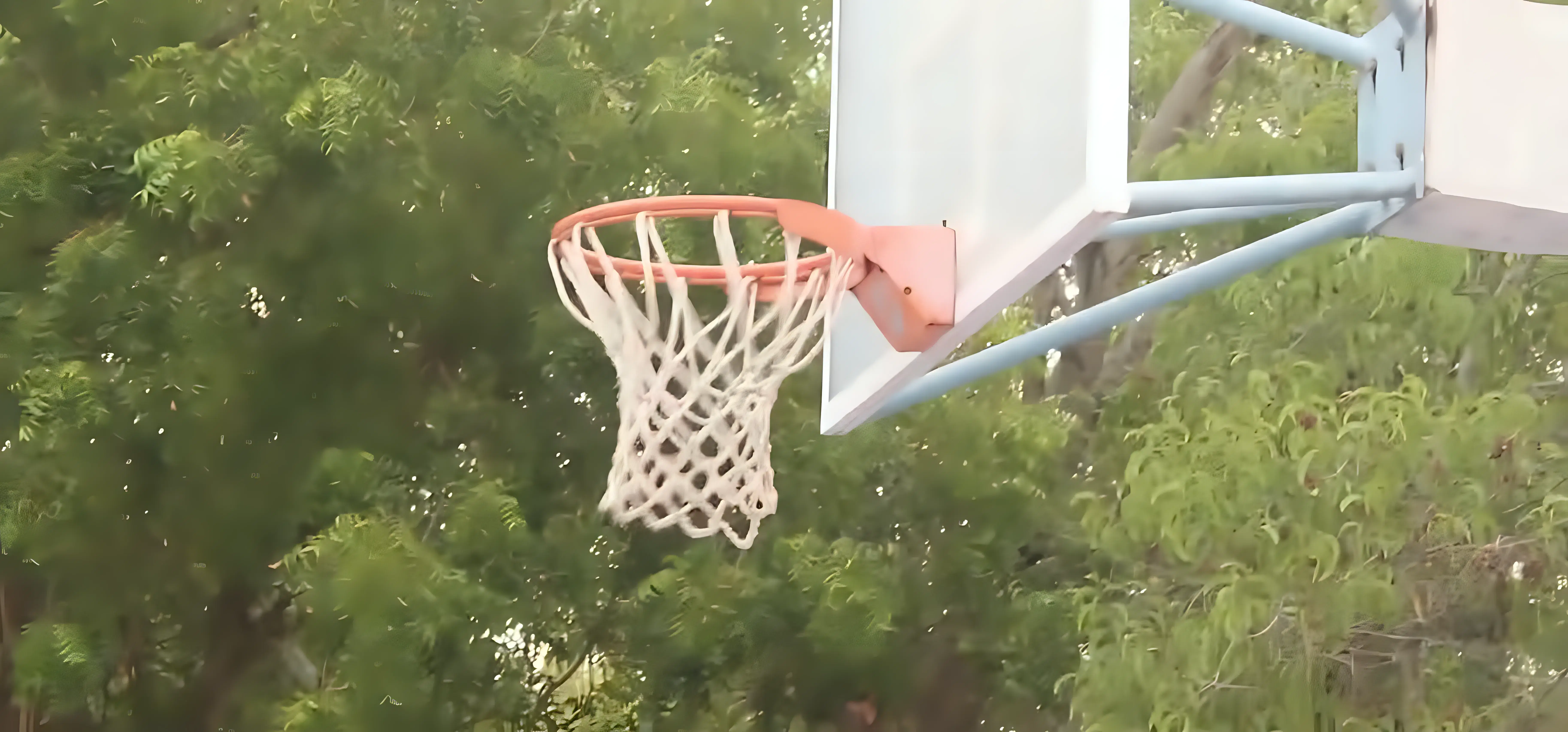 Puducherry Technological University sports photo 2