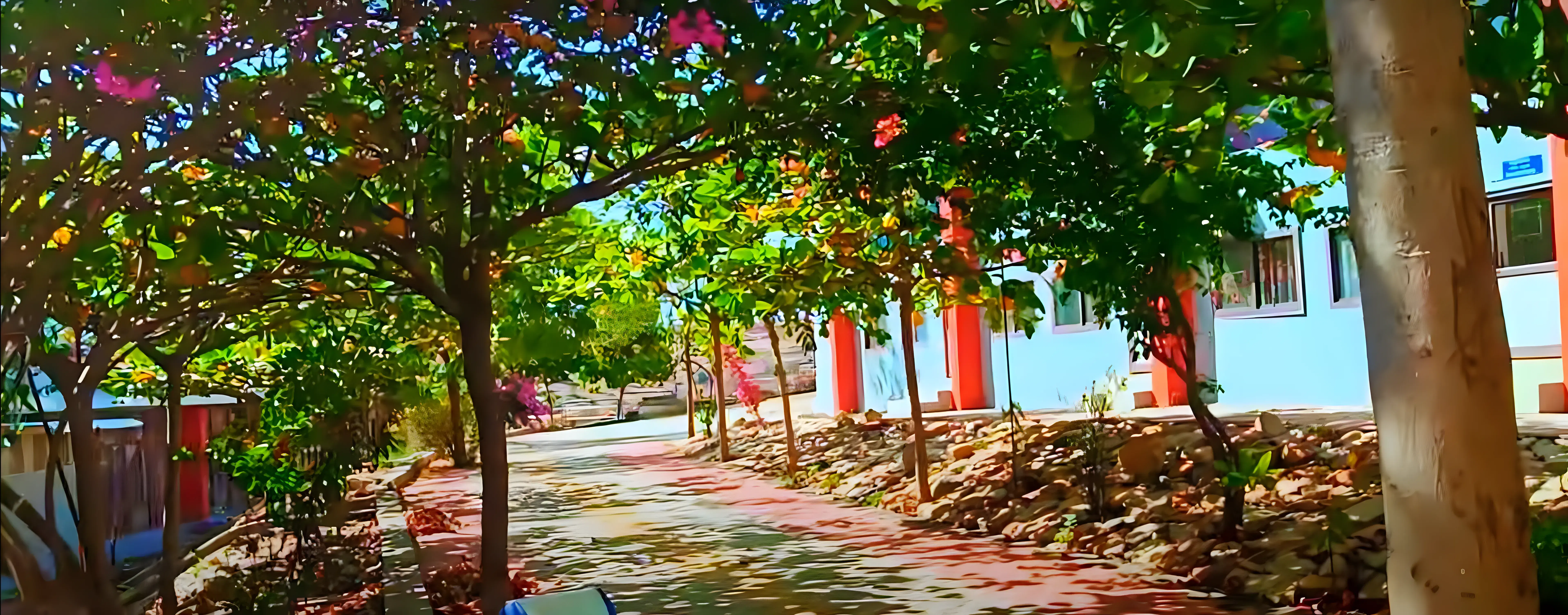 IIITDM Kurnool Campus photo 1