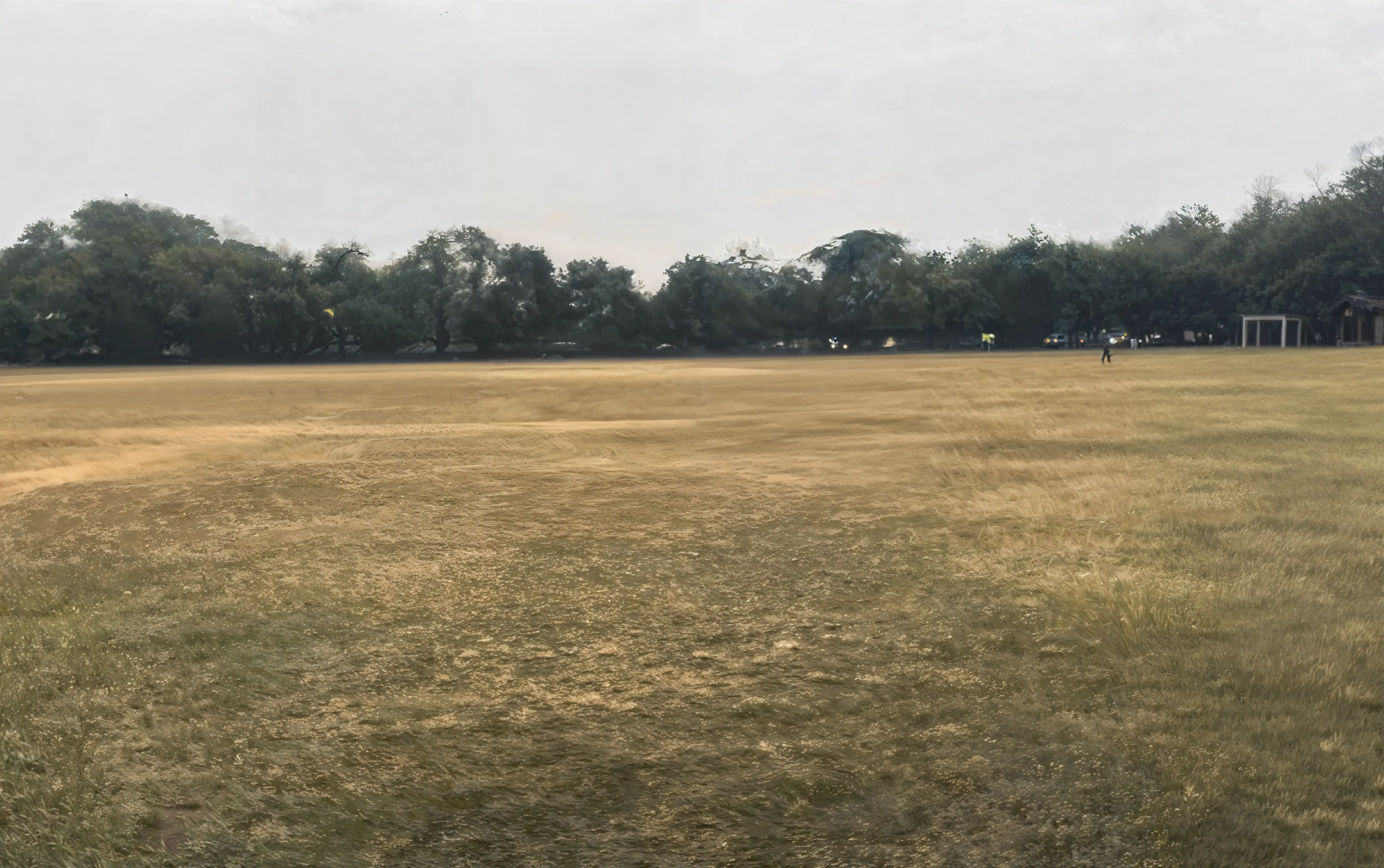 MSI Delhi Campus photo 5