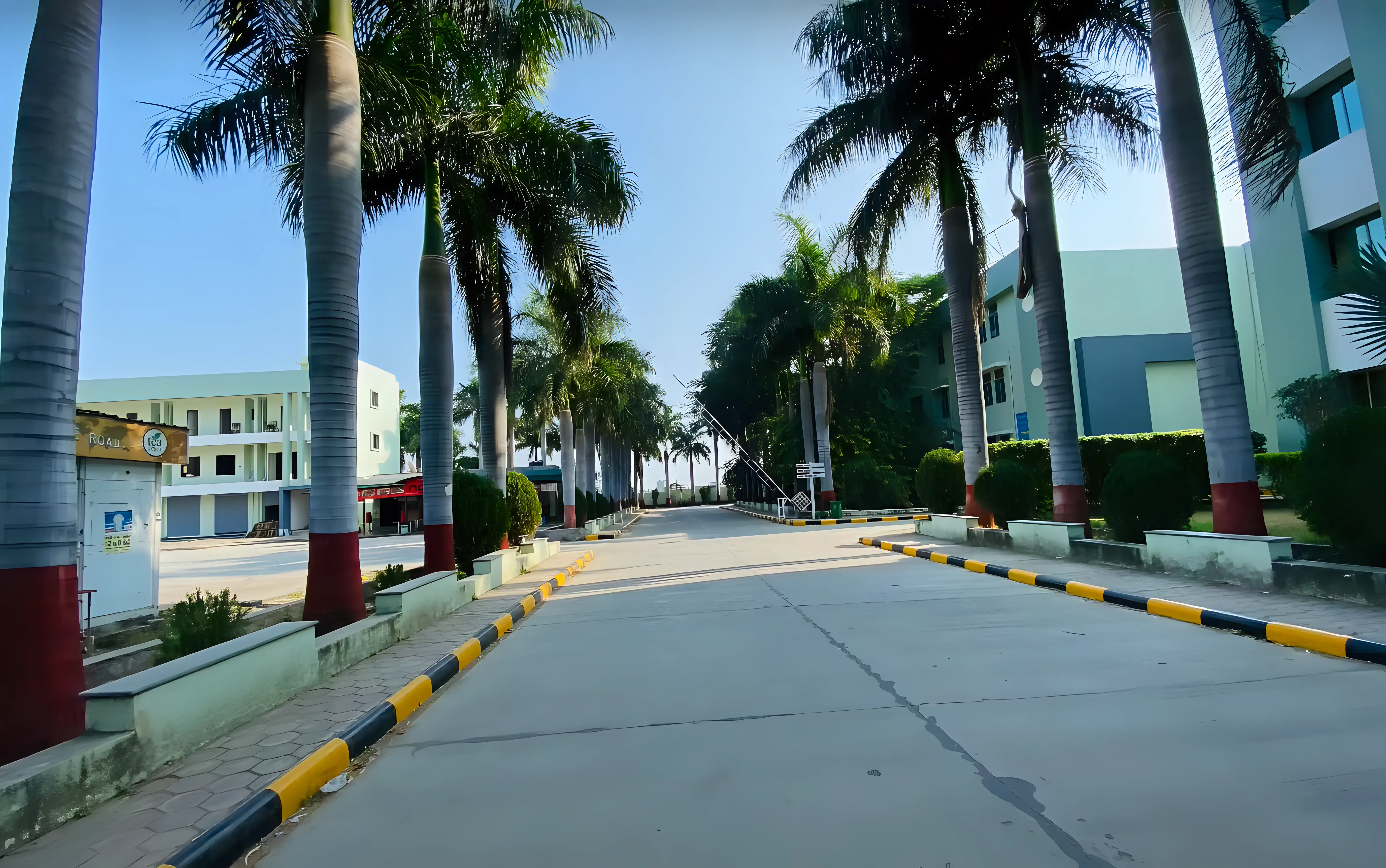 Noble University Junagadh Canteen photo 1