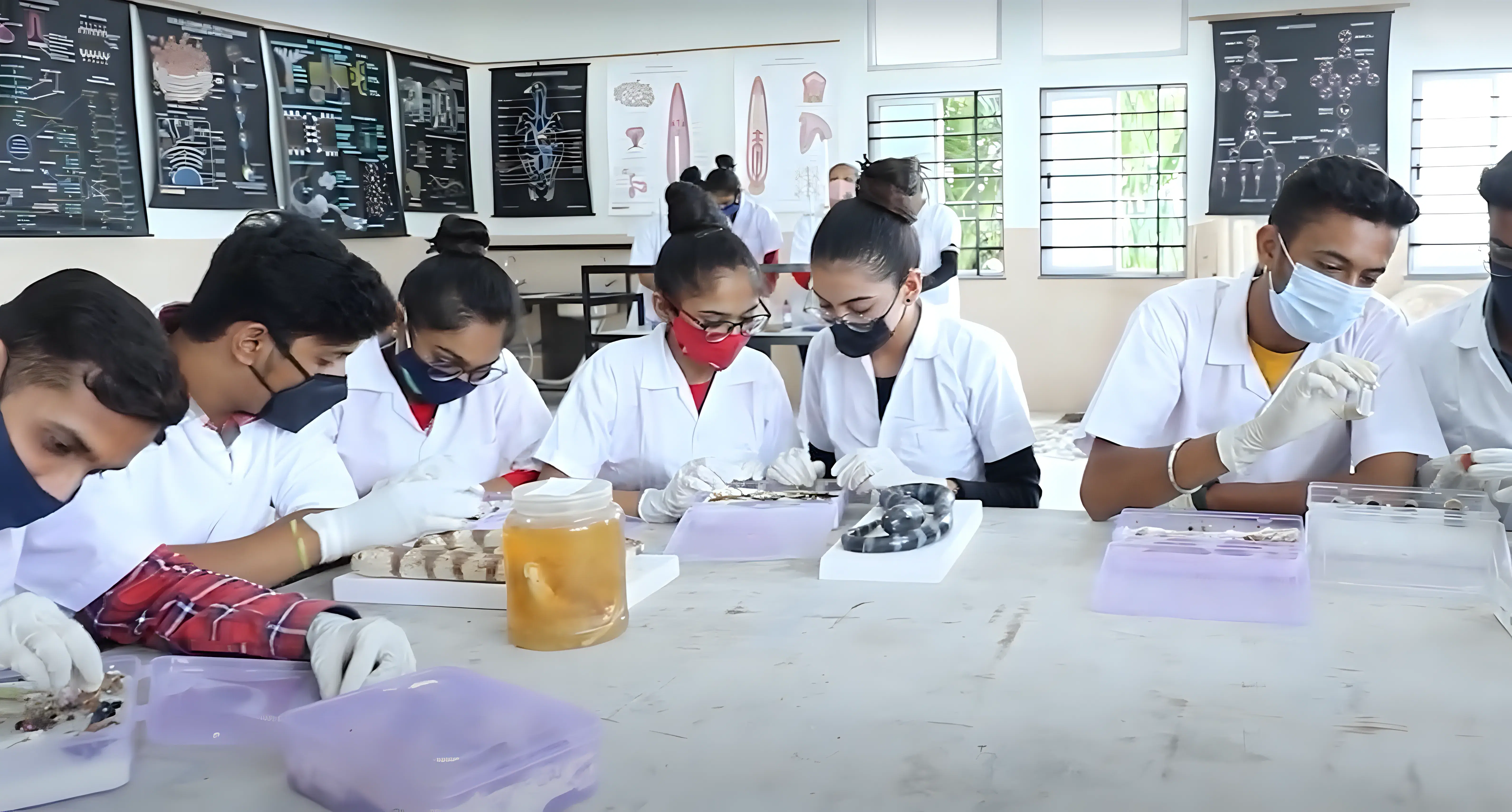 Noble University Junagadh Academic Infrastructure photo 4