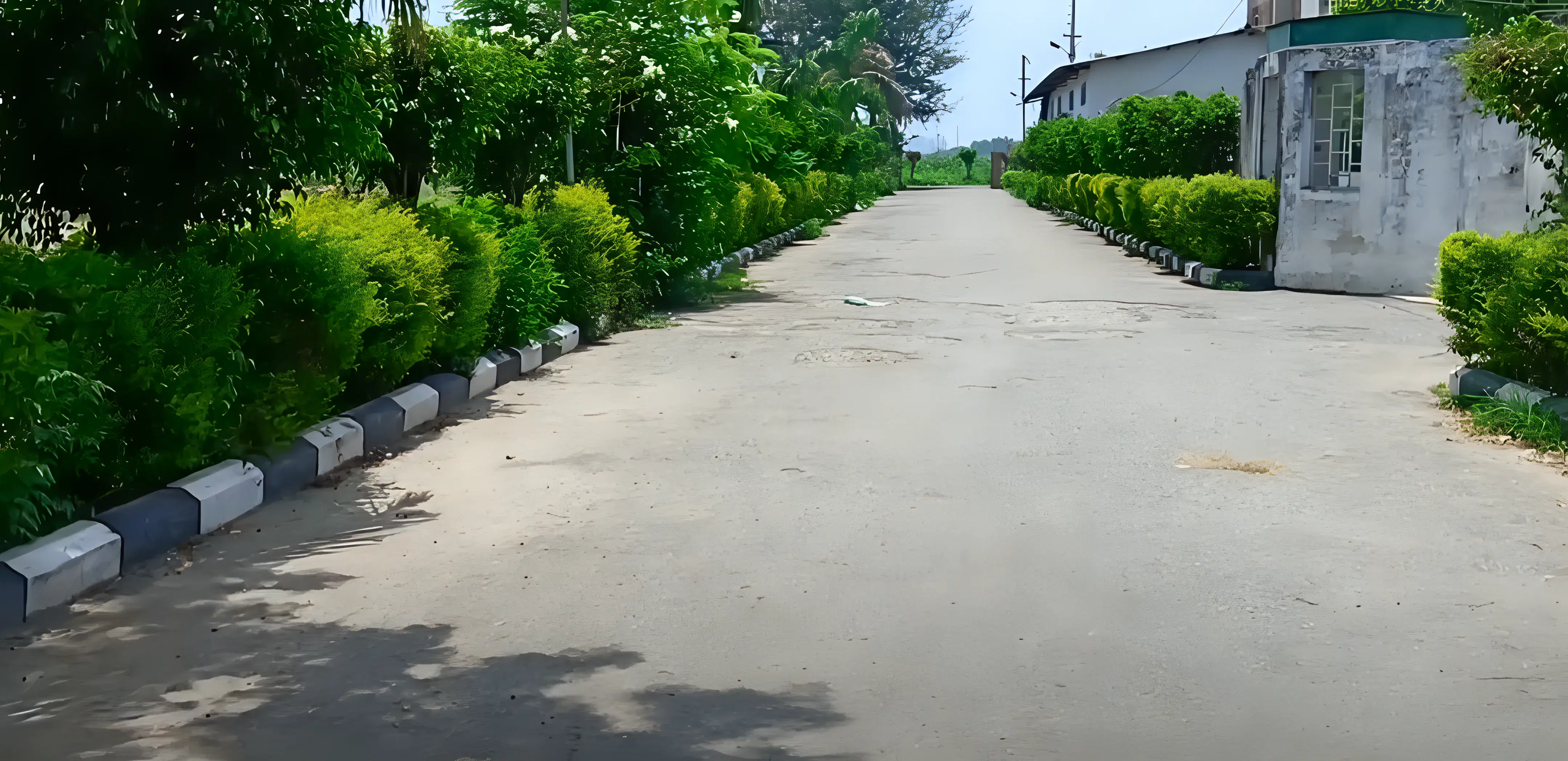 Sukhjinder Group of Institutes Gurdaspur Campus photo 2