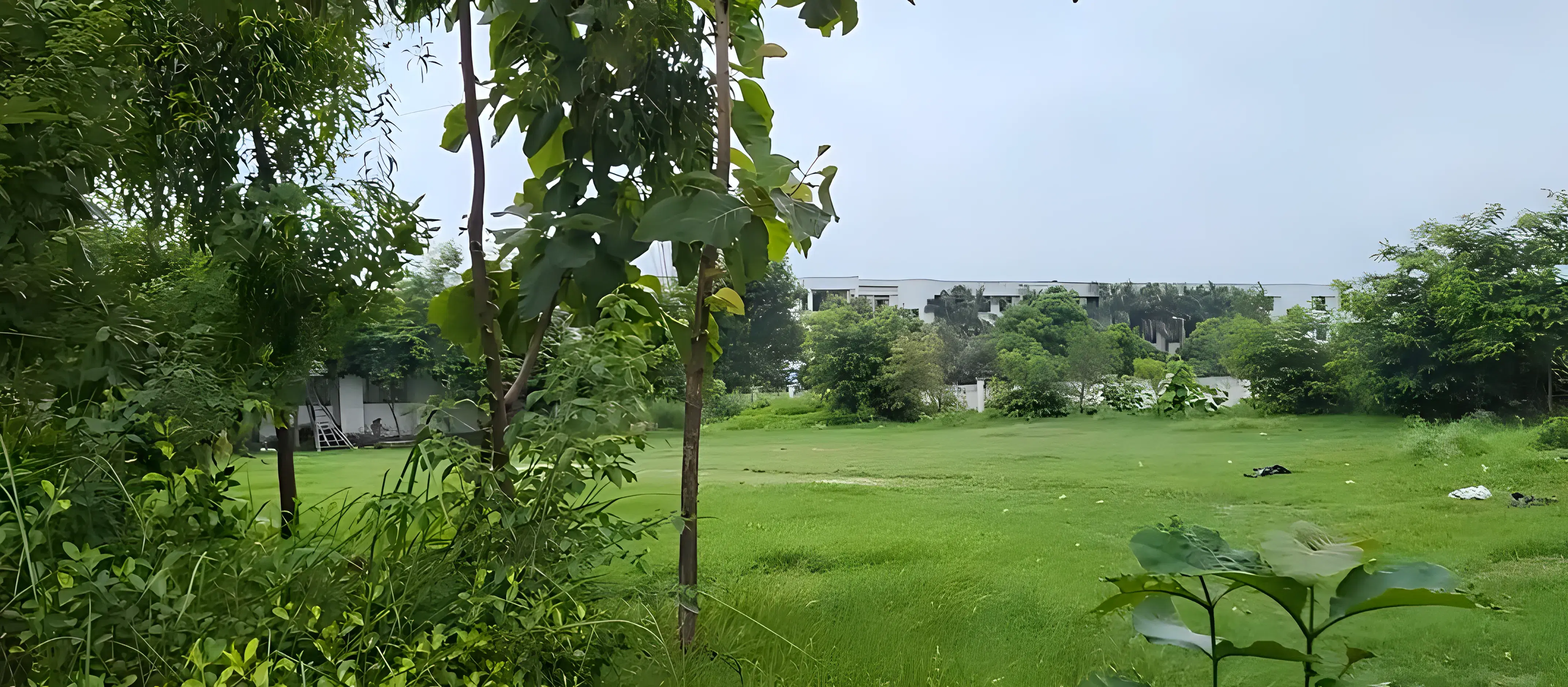 REC Ambedkar Nagar sports photo 2