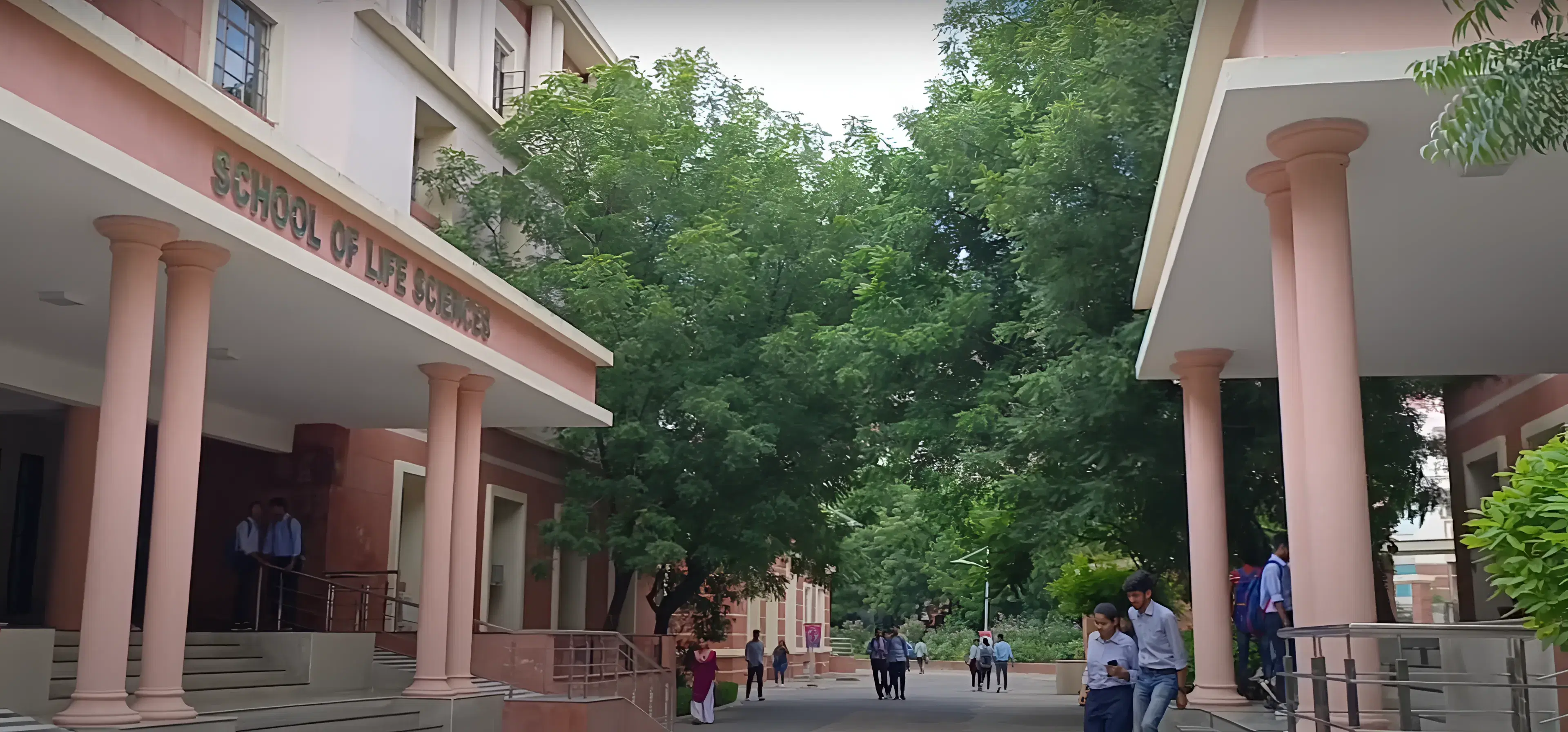 School of Distance Education and Learning, Jaipur National University Campus photo 3