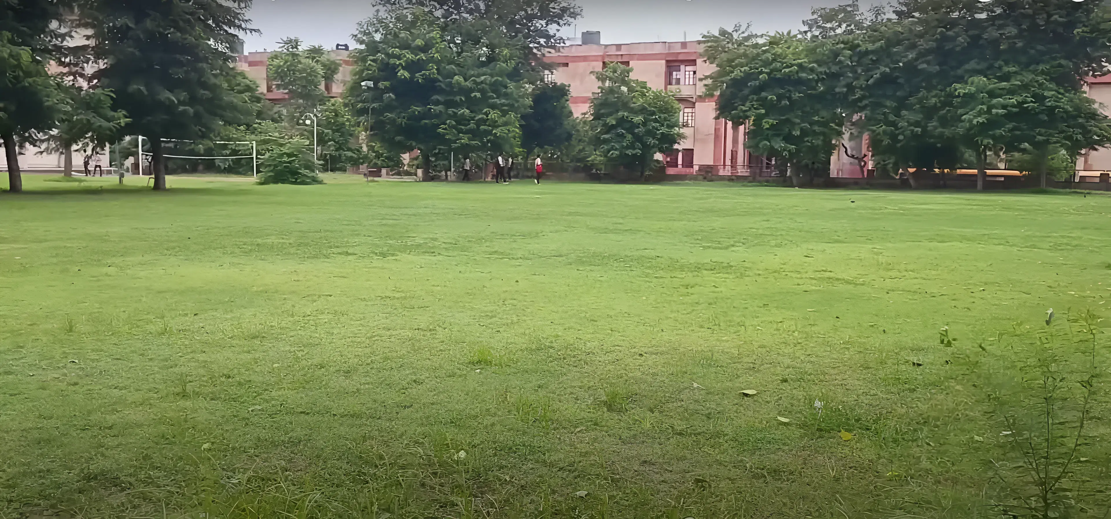 School of Distance Education and Learning, Jaipur National University Campus photo 10