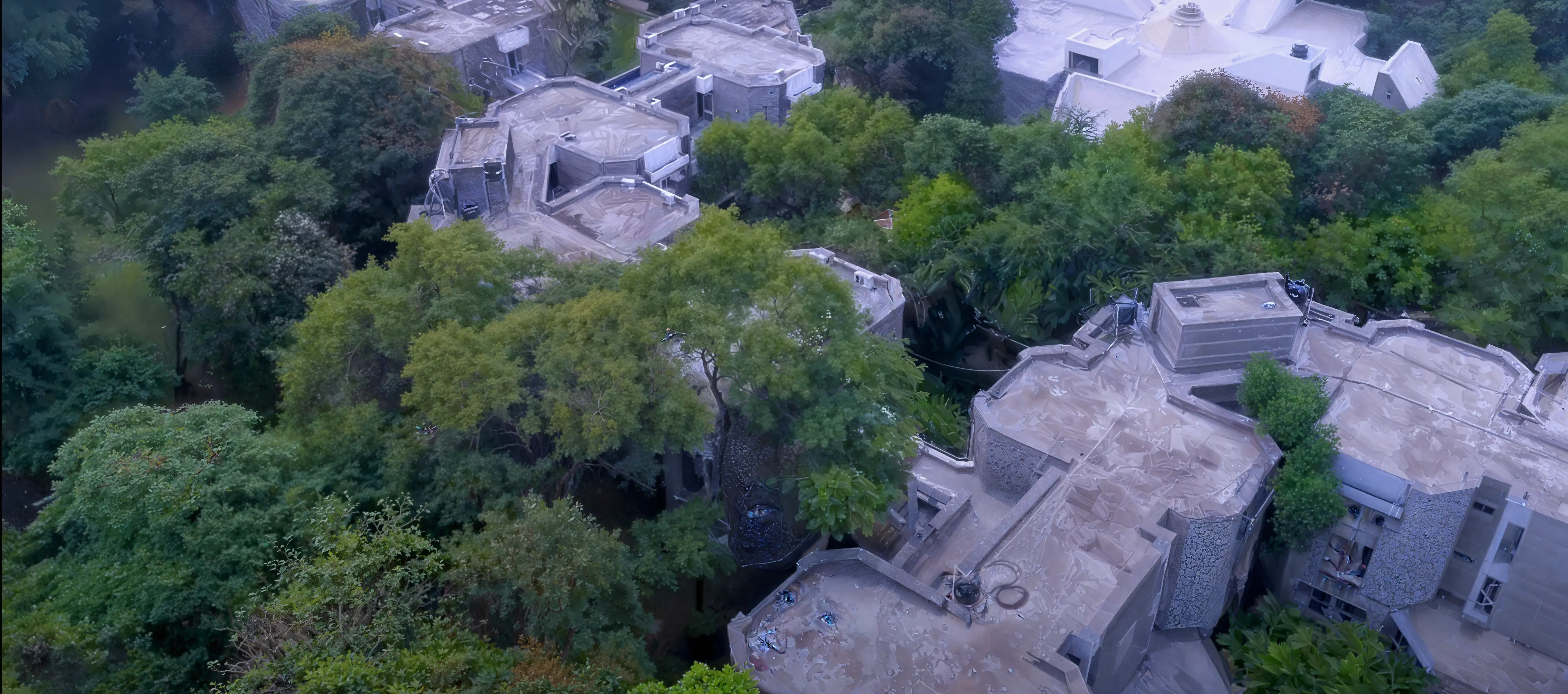 NIBM Pune Campus photo 15