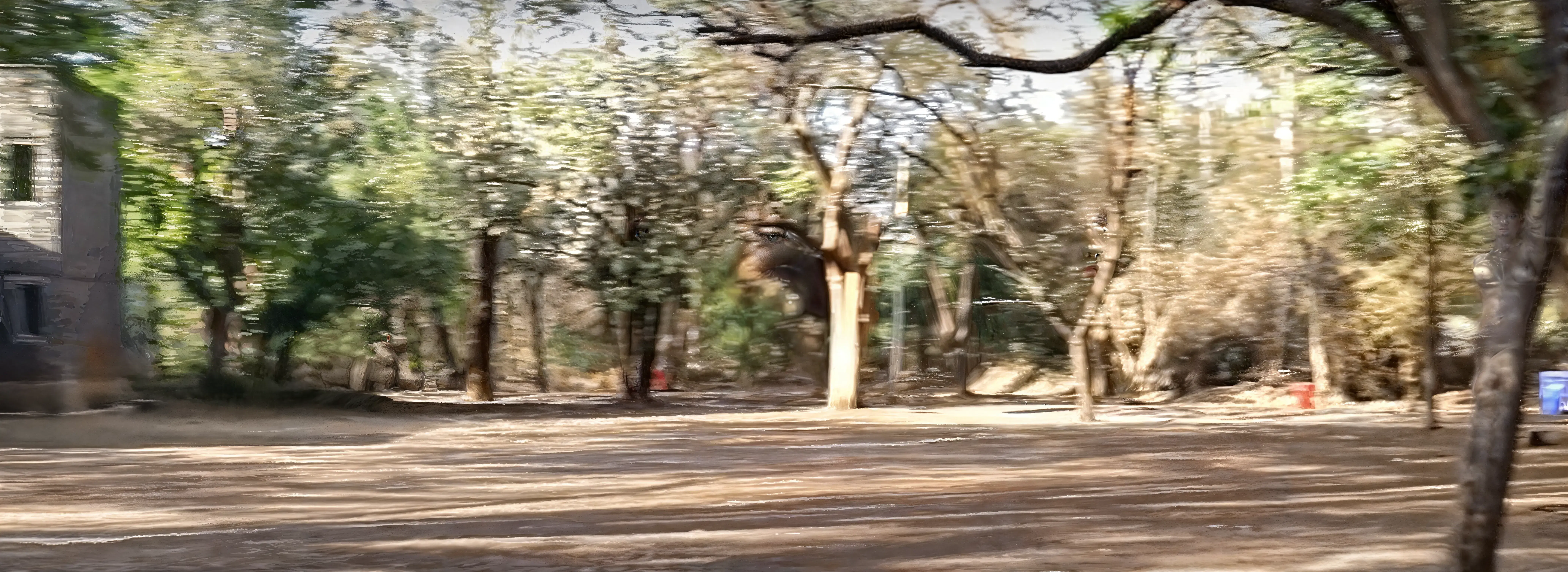 NIBM Pune Sports Facilities photo 1