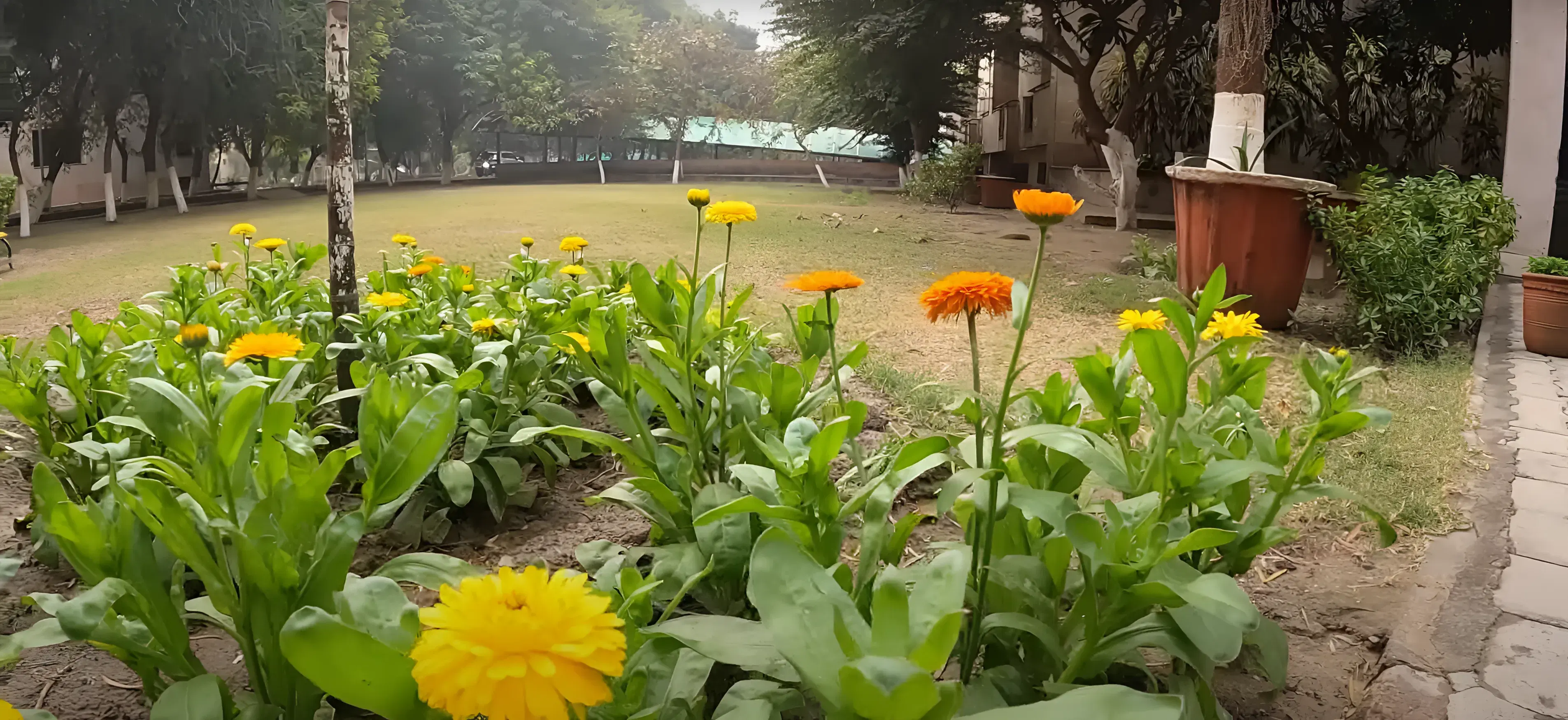 IIM Lucknow (Noida Campus) Campus photo 3