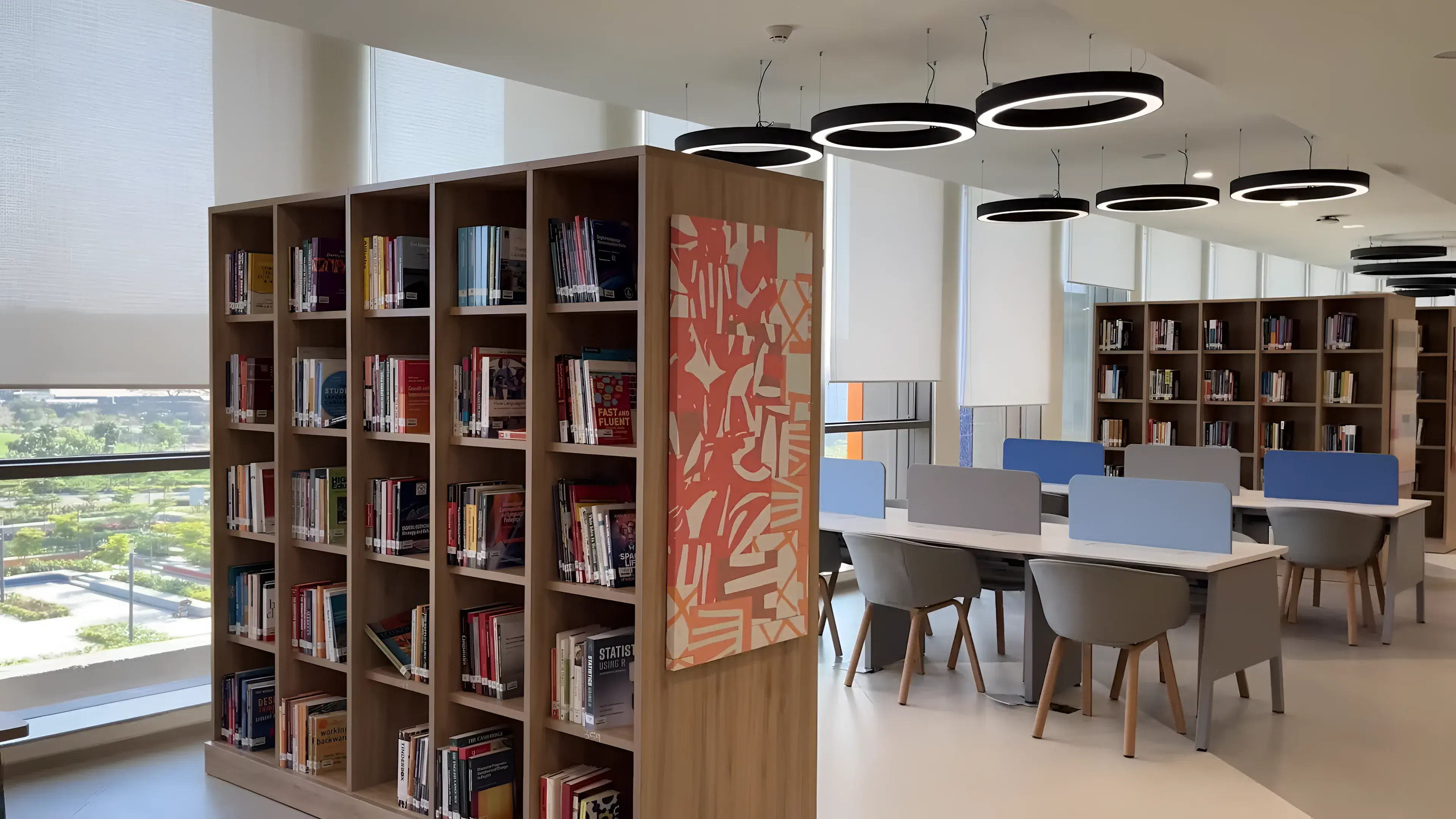 BITSOM library photo 2