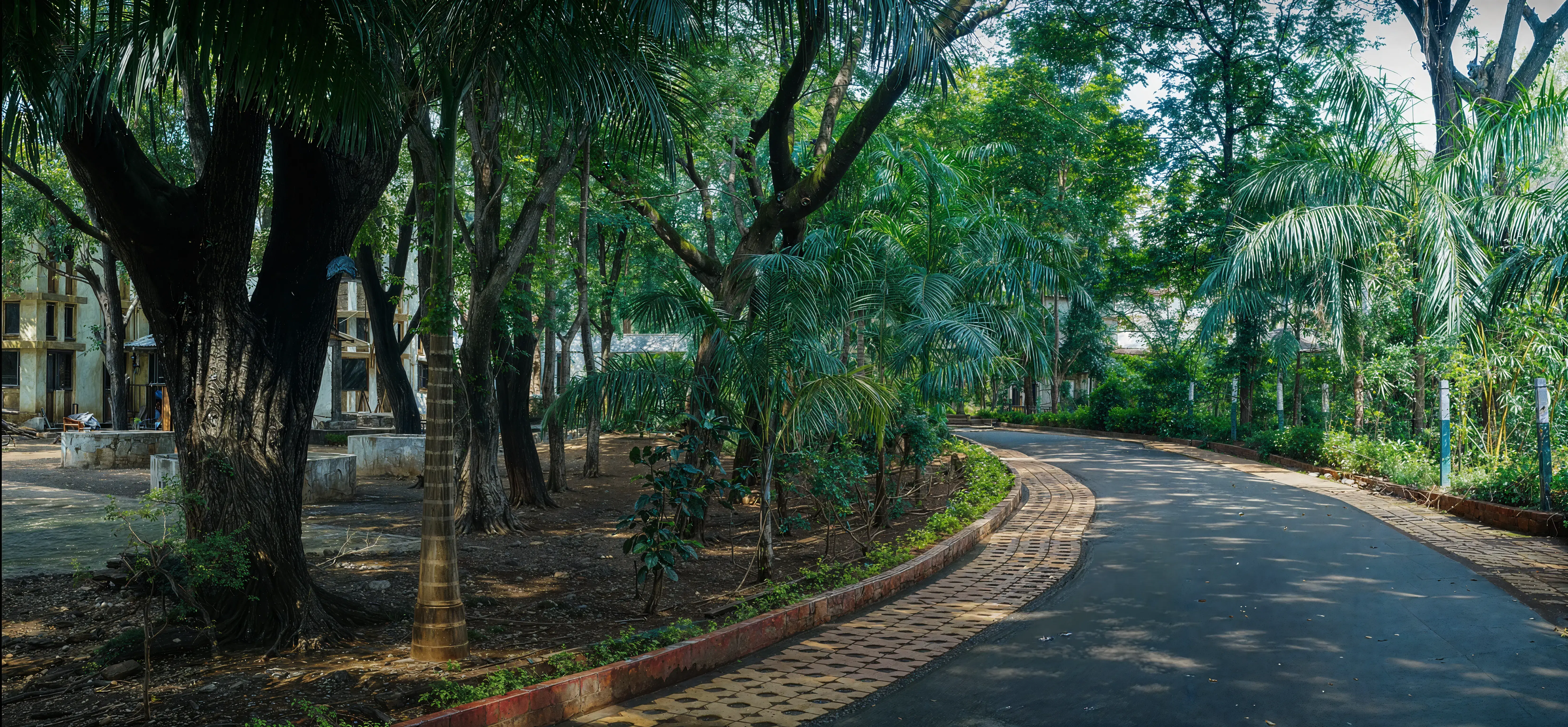 B.K Birla College Of Arts Science & Commerce Thane Campus photo 4