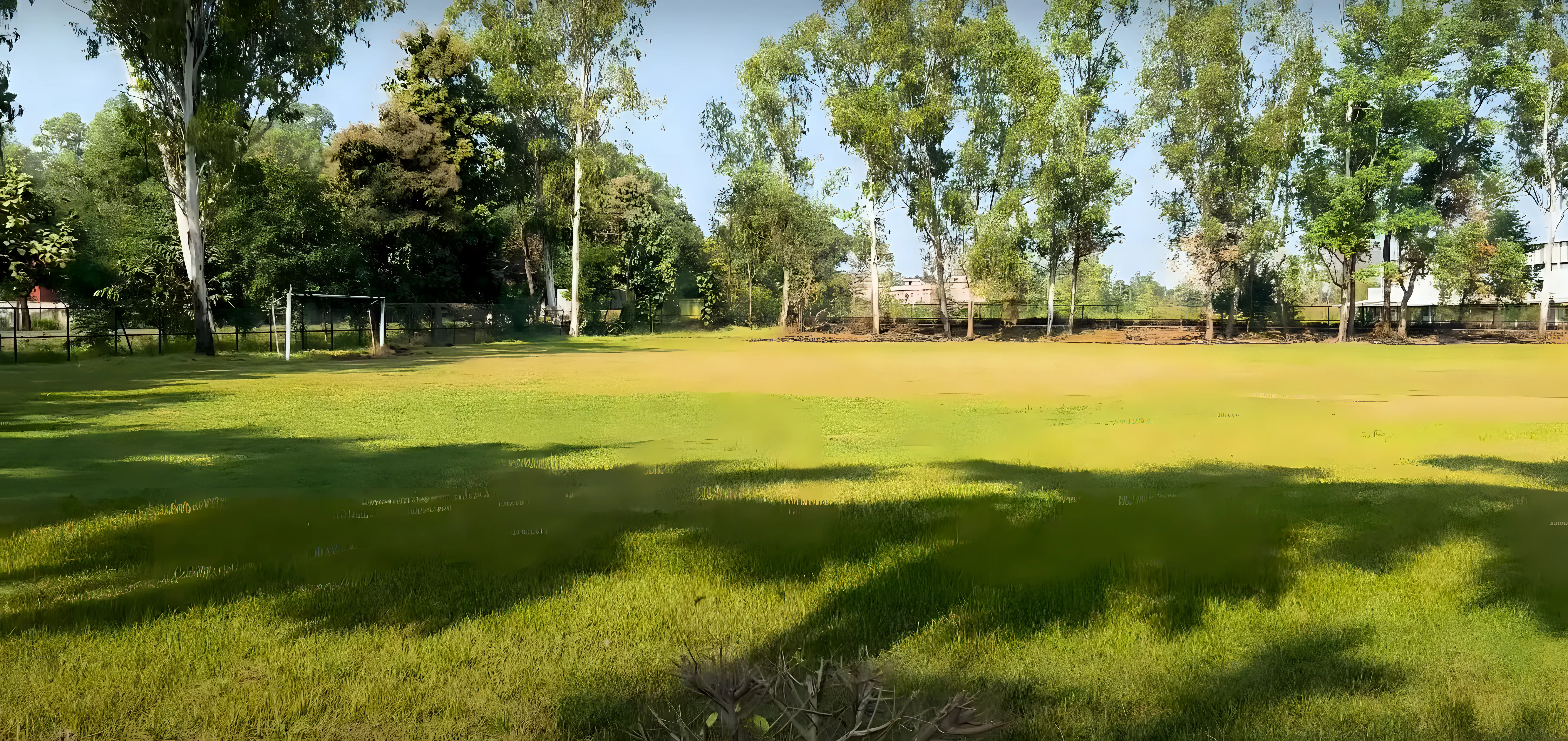 College of Technology, GB Pant University of Agriculture & Technology Pantnagar Campus photo 7