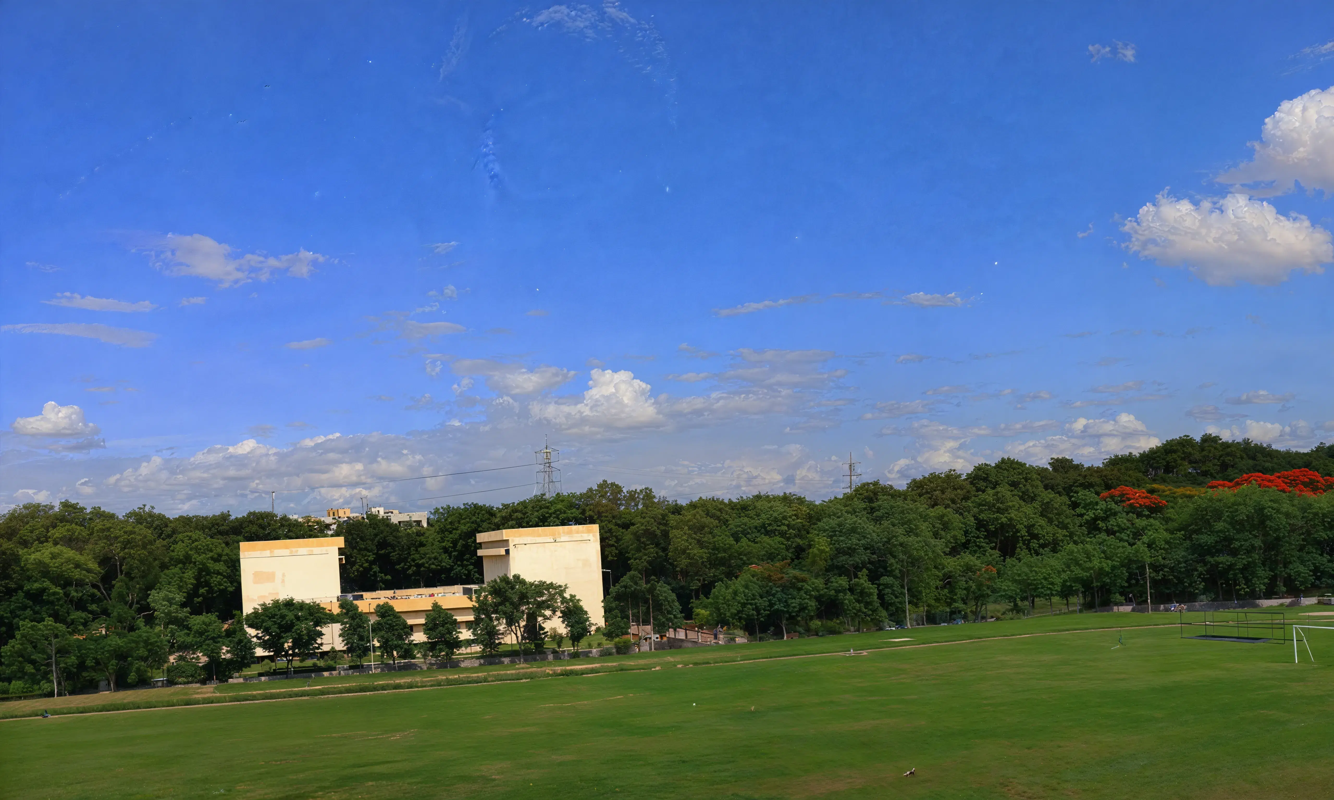 NAARM sports photo 1