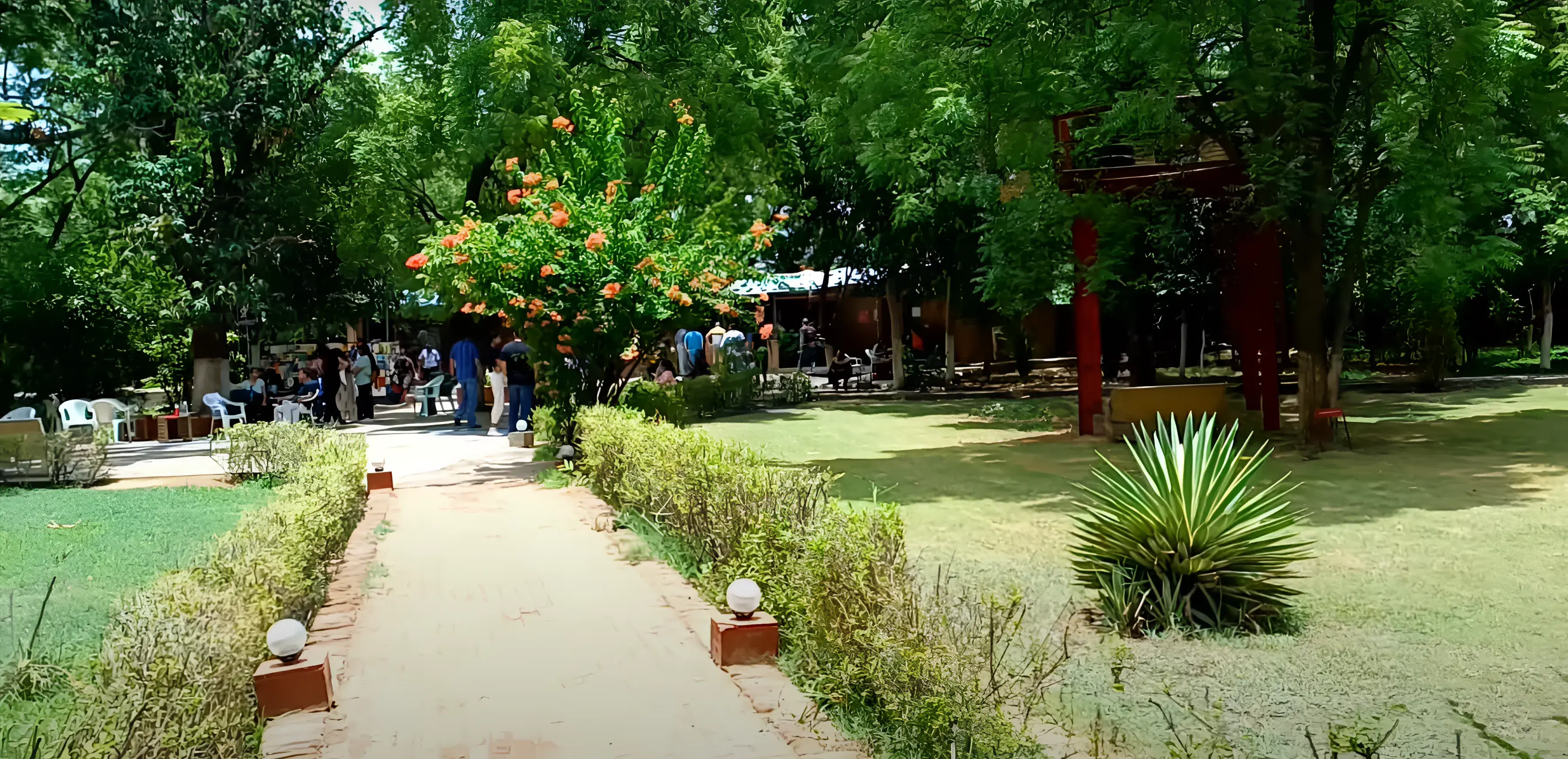 MICA Canteen photo 6