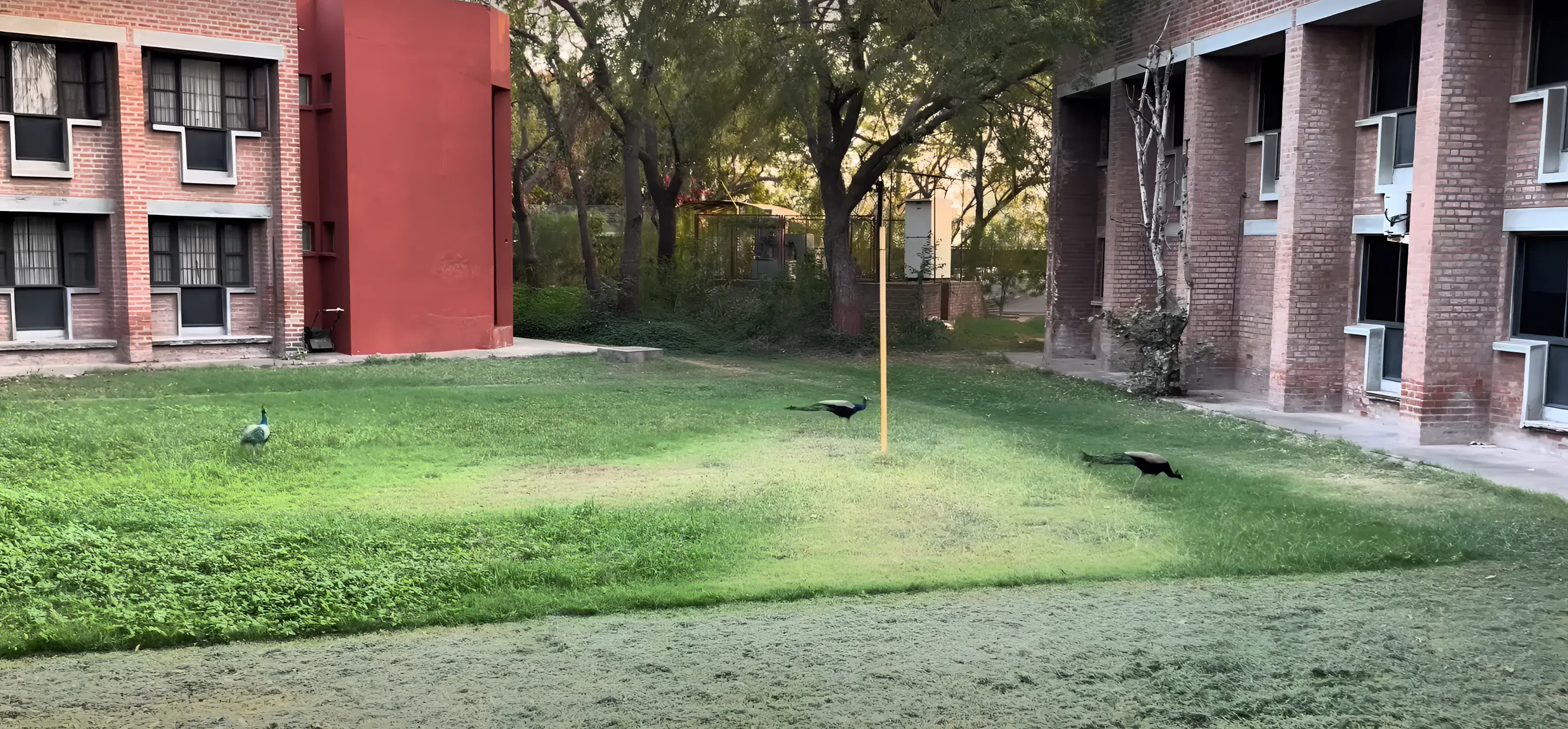 MICA Campus photo 80