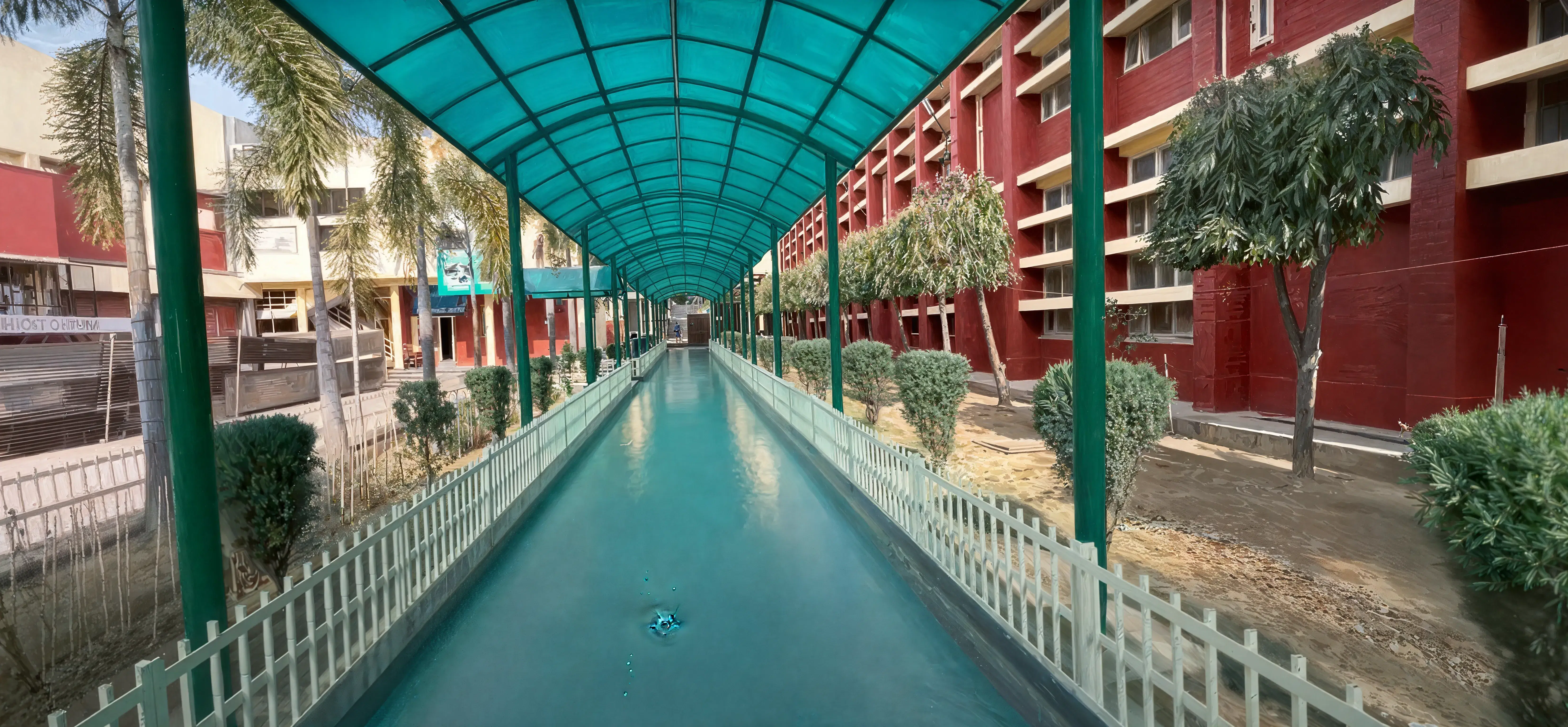 DAV College Chandigarh Campus photo 19