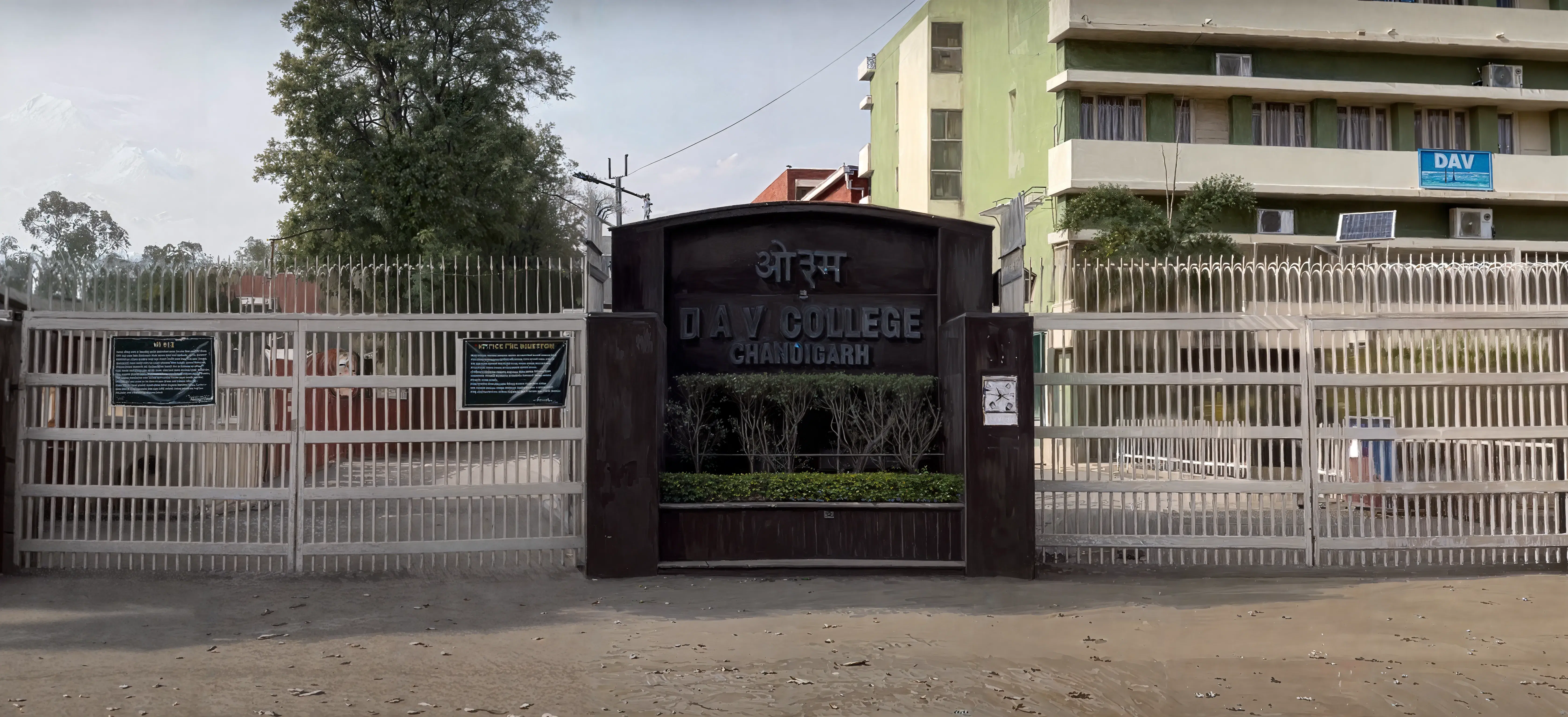 DAV College Chandigarh Campus photo 21