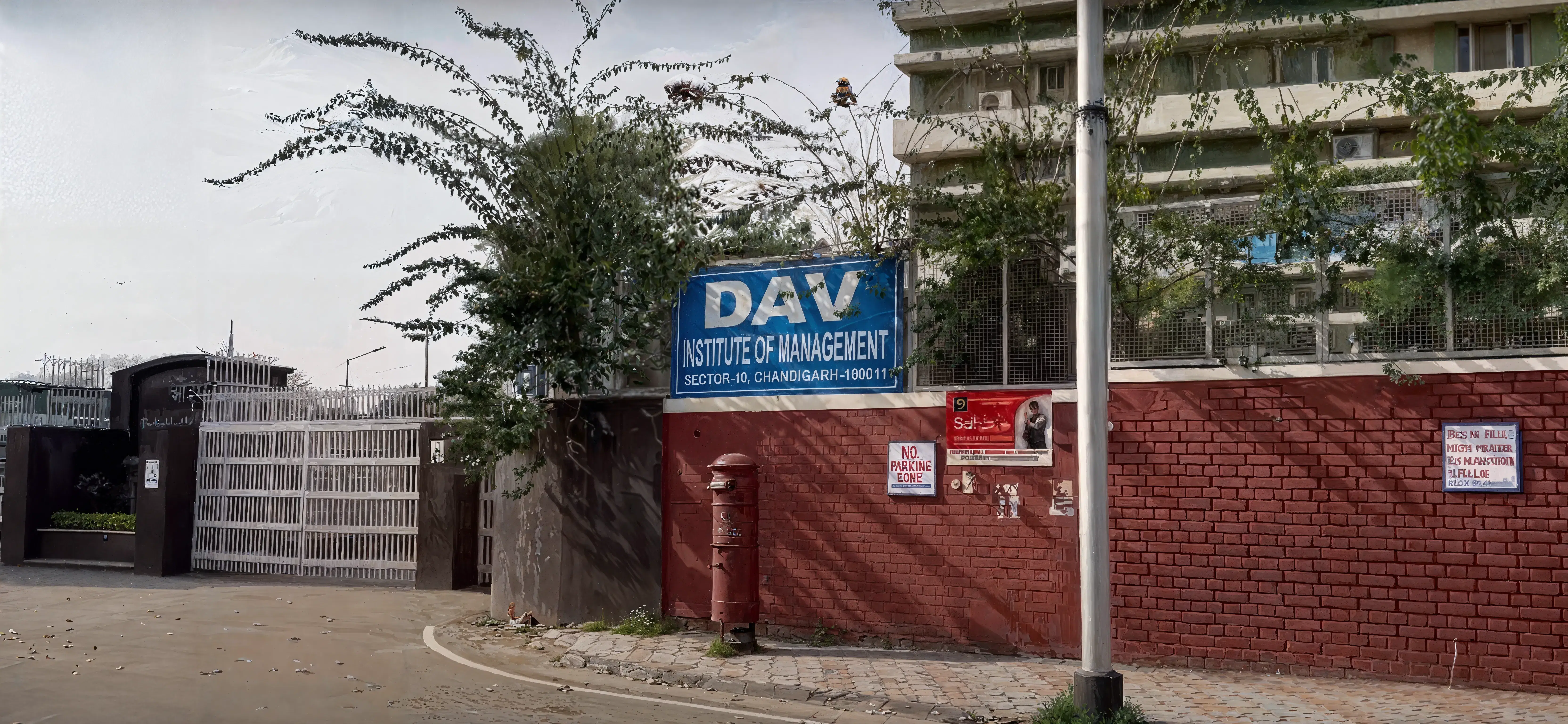 DAV College Chandigarh Campus photo 23