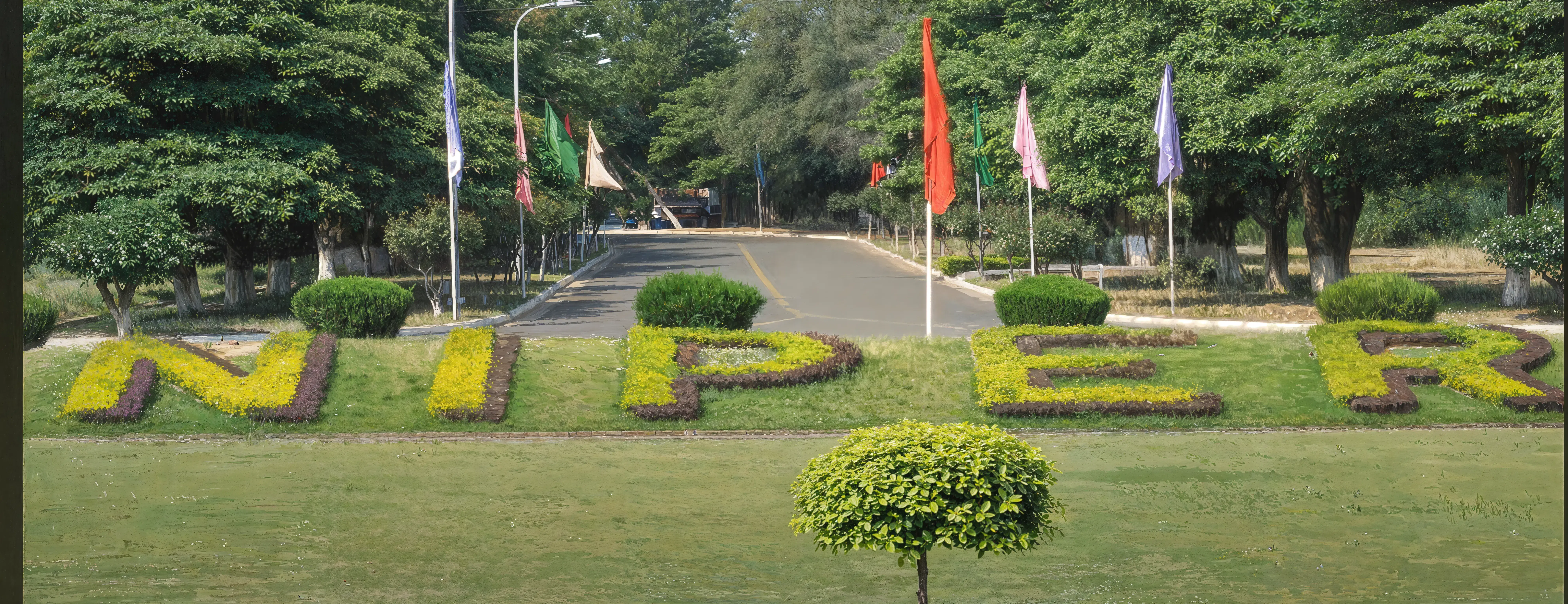 NIPER Mohali Campus photo 17