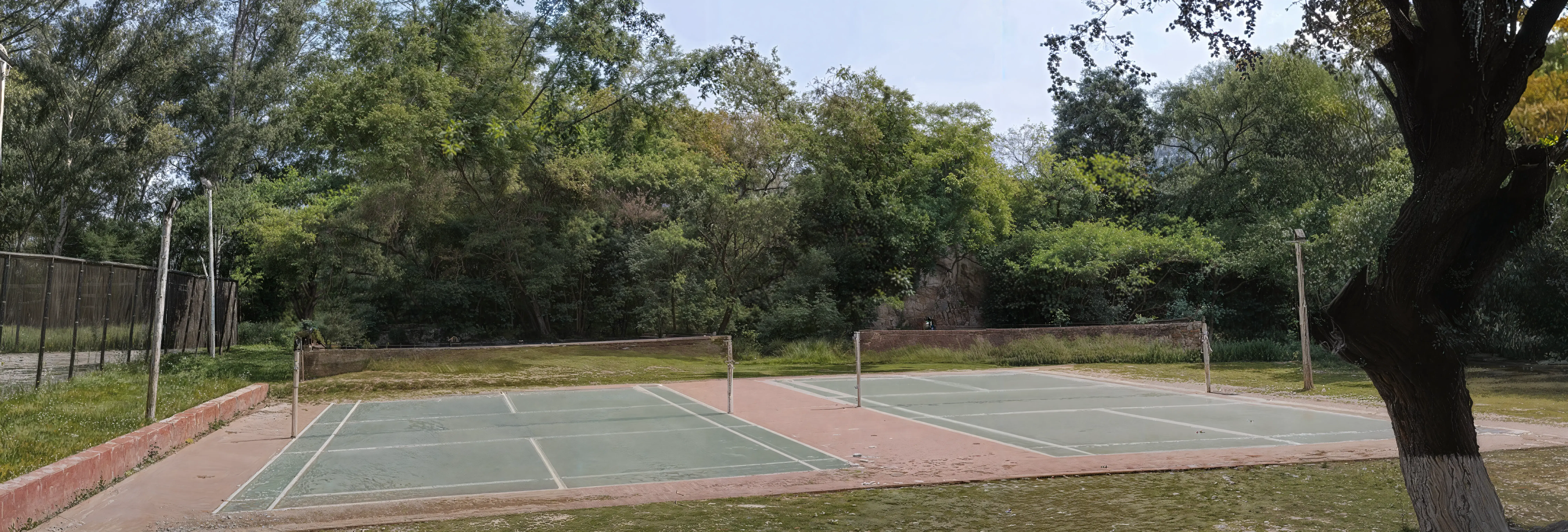 NIPER Mohali sports photo 1