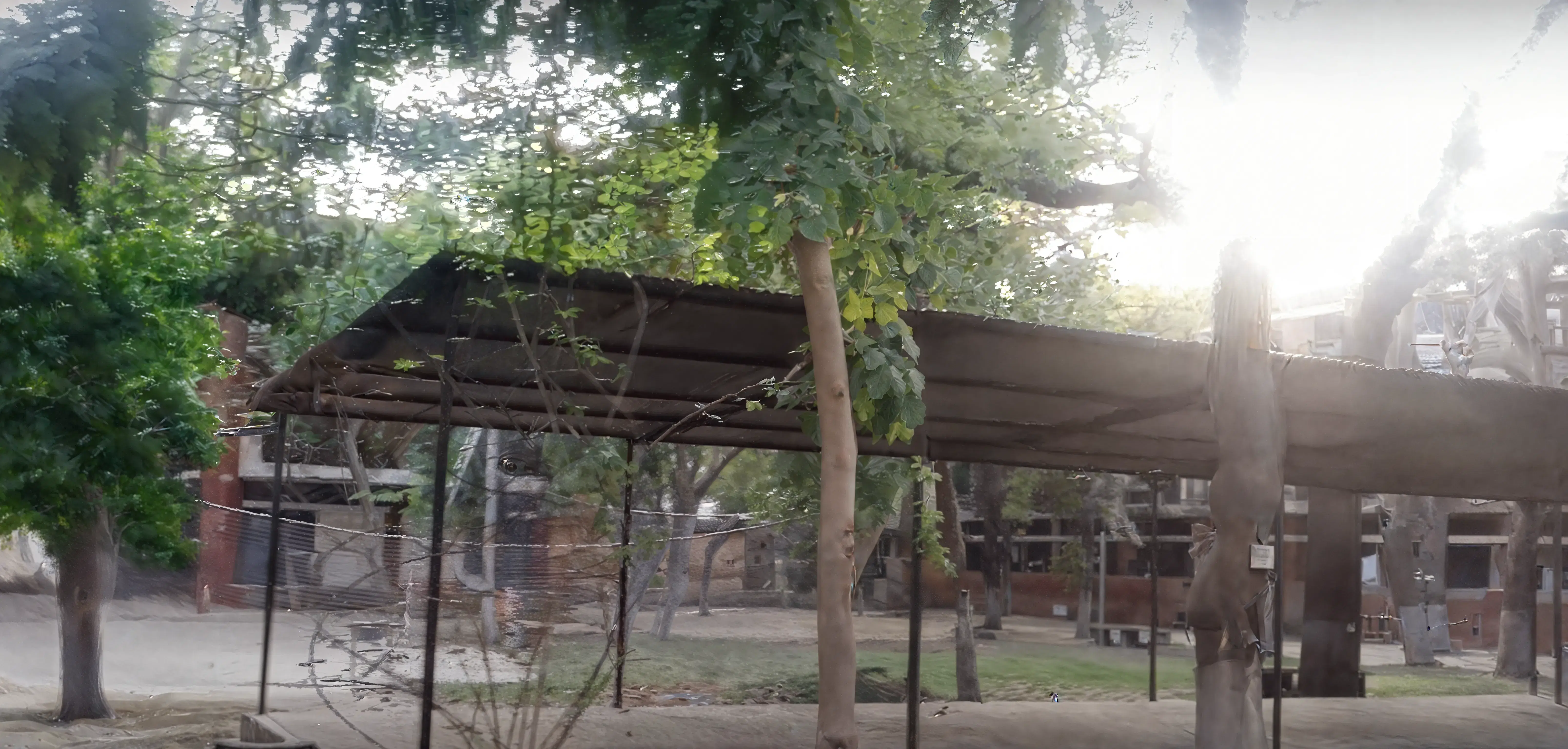 PGIMS Rohtak Campus photo 2