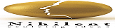 Nihilent Technologies