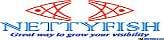 Nettyfish Networks
