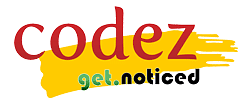 Codezin