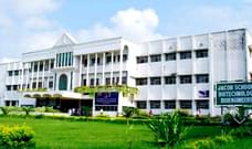 collection-cover-image