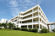 collection-cover-image