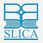 Som-Lalit Institute of Computer Application - [SLICA] logo