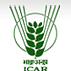 Directorate of Research on Women in Agriculture - [ICAR]