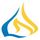 LN Group of Institutes logo