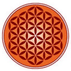 Vedica Scholars Programme for Women - [VSPW]