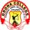 Drona College, College of IT and Applied Social Sciences logo