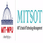 MIT School of Technology Management - [MITSOT] logo