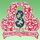 Shadan Degree College For Women logo