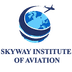 SkyWay Institute of Aviation