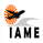 Institute of Aircraft Maintenance Engineering - [IAME] rounded