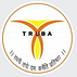 Truba Institute of Engineering and Information Technology - [TIEIT]