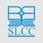 Som Lalit College of Commerce - [SLCC] logo