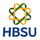 Dr. Homi Bhabha State University logo