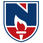 Narayana Engineering College Gudur - [NEC] logo