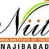 North India Institute of Technology - [NIIT]