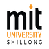 MIT University