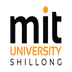 MIT University