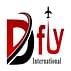 Dfly International