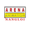 Arena Animation logo