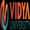 Vidya University