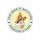 Vikas Group of Institutions logo
